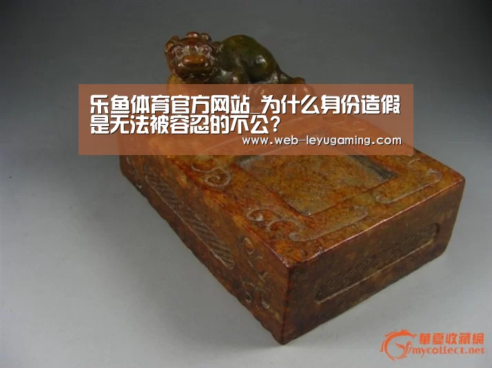 乐鱼体育官方网站_为什么身份造假是无法被容忍的不公?(图2) 乐鱼体育官方网站