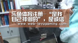 乐鱼体育注册-“是我自己摔倒的”,是诚信时代的最美好声音(图1) 乐鱼体育登录入口