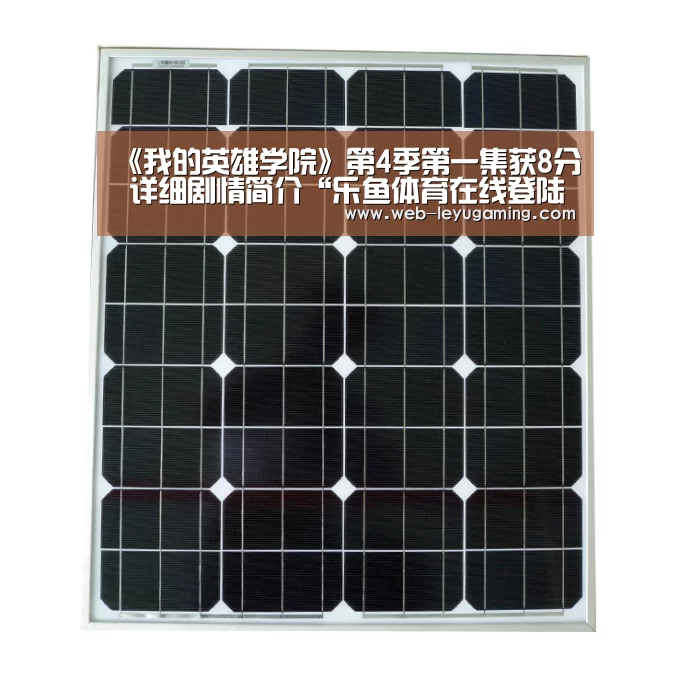 乐鱼体育登录入口