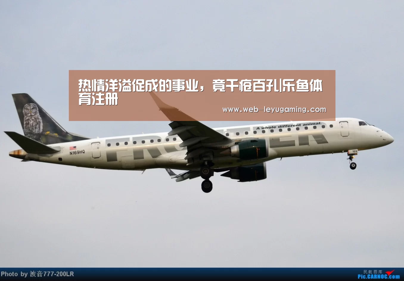 热情洋溢促成的事业,竟千疮百孔|乐鱼体育注册(图2) 乐鱼体育官方网站