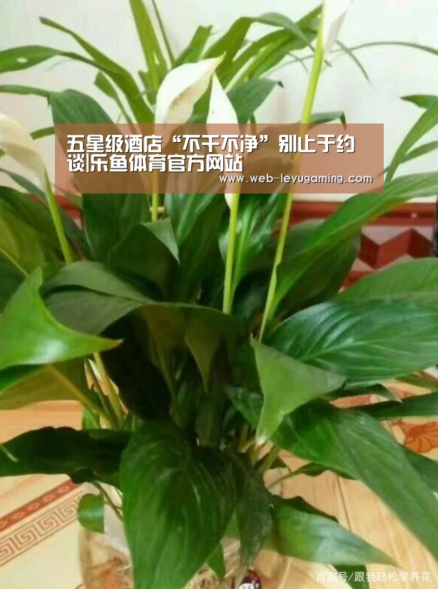 五星级酒店“不干不净”别止于约谈|乐鱼体育官方网站(图1) 乐鱼体育官方网站