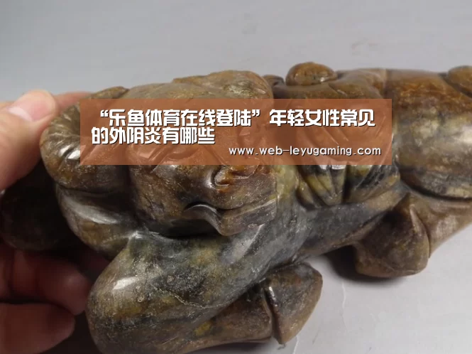 “乐鱼体育在线登陆”年轻女性常见的外阴炎有哪些(图1) 乐鱼体育官方网站
